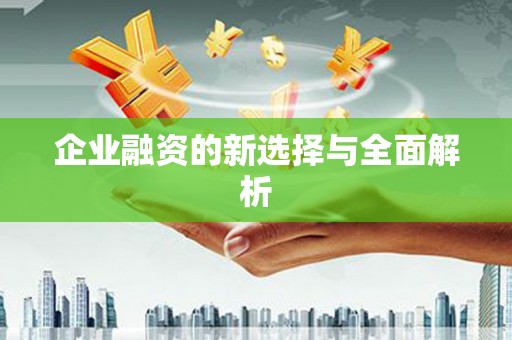 中原企业融资的新选择与全面解析