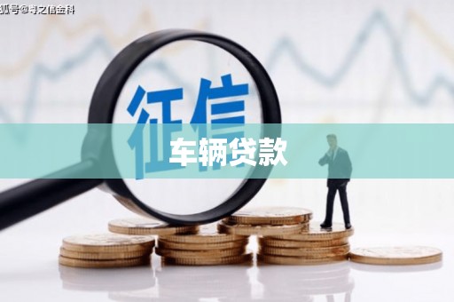 中原车辆贷款