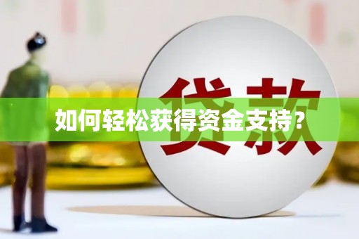 中原如何轻松获得资金支持？