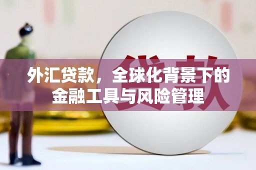 中原外汇贷款，全球化背景下的金融工具与风险管理
