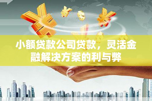 中原小额贷款公司贷款，灵活金融解决方案的利与弊