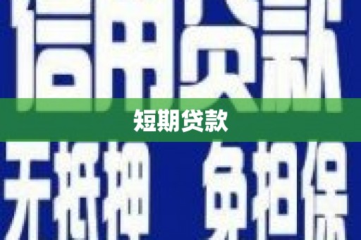 中原短期贷款