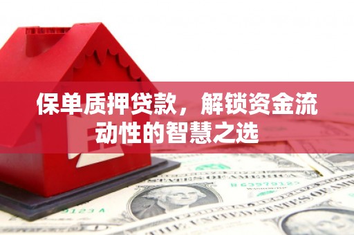 中原保单质押贷款，解锁资金流动性的智慧之选