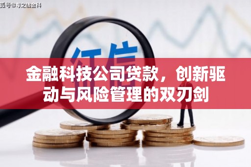 中原金融科技公司贷款，创新驱动与风险管理的双刃剑